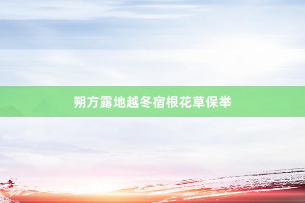 朔方露地越冬宿根花草保举