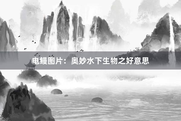 电鳗图片：奥妙水下生物之好意思